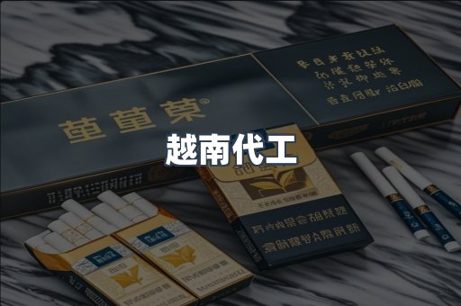 越南代工